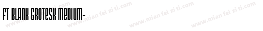 FT Blank Grotesk Medium字体转换